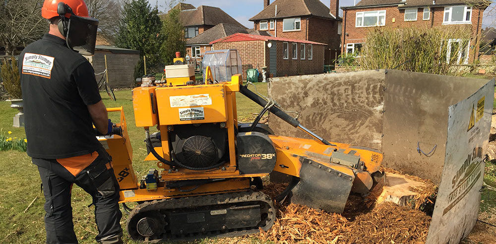 stump grinding near me