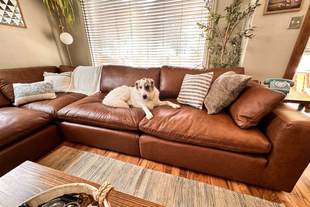 Leather Sofas for Sale: How to Choose the Right Finish and Frame